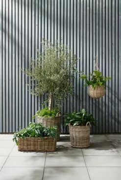 Trädgårdskruka SANSEBIE Ø40/50 2 St/set 7 Trädgårdskruka SANSEBIE Ø40/50 2 St/set -butiken JUTLANDIA 149781