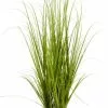 Konstväxt MARKUSFLUE H150cm Gräs 1 Konstväxt MARKUSFLUE H150cm Gräs -butiken JUTLANDIA 199829