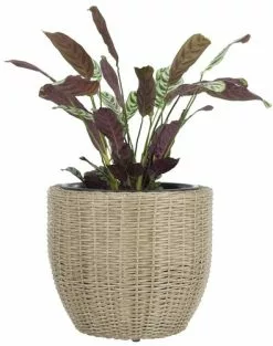 Ytterkruka SVARTBAK Ø42xH36 Natur